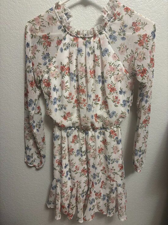Blue Rain Dresses & Skirts - Blue Rain Floral Metallic Shimmer Chiffon Dress Size XXS White Pink Gold